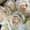 Ramo 12 rosas blancas
