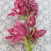 Felicidad en Flores: Ramo para Mamá - Imagen 7