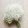 NUBE - Imagen 2