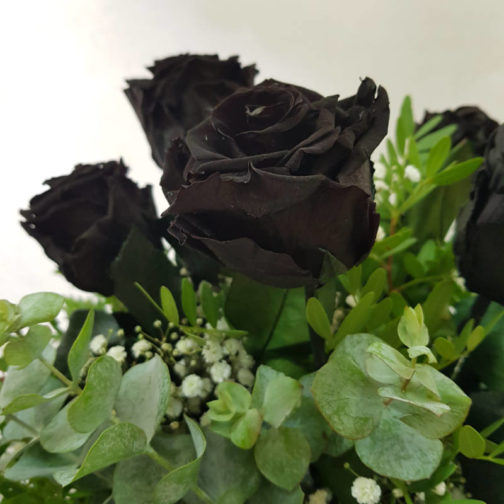 Rosas Negras